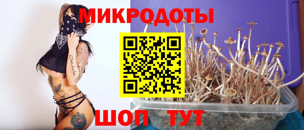 Тимашёвск  Псилоцибиновые грибы Magic Shrooms  Вход с VPN  закладка  Псилоцибиновые грибы мухоморы 