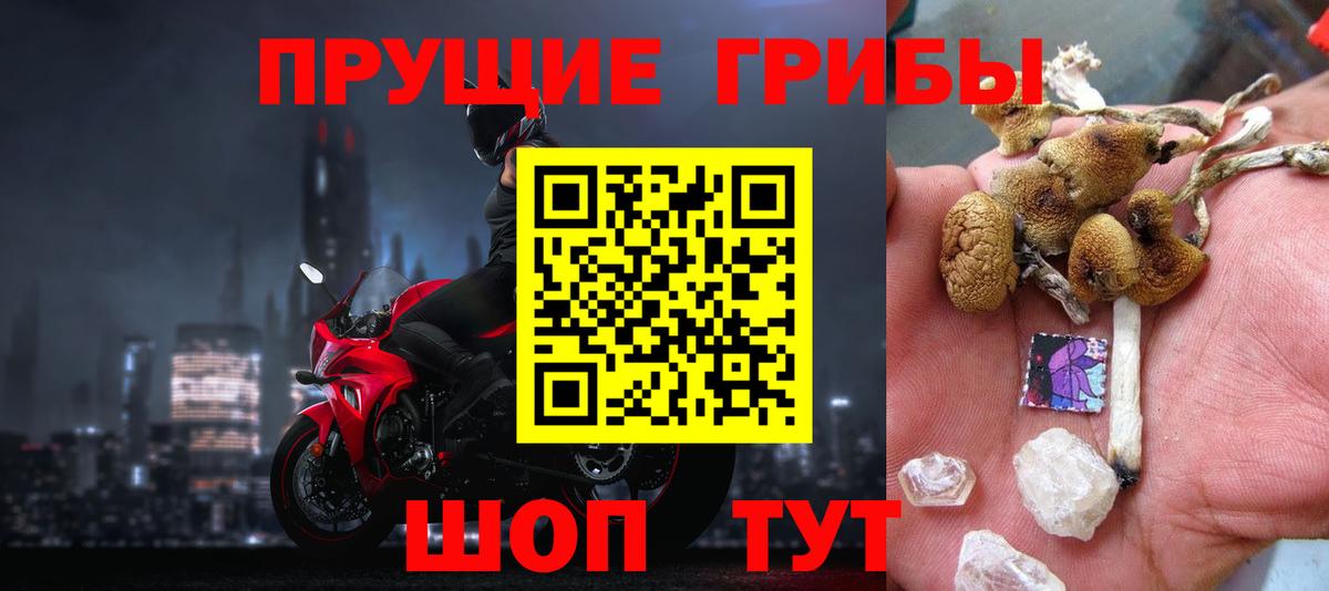 Галлюциногенные грибы Magic Shrooms Тимашёвск